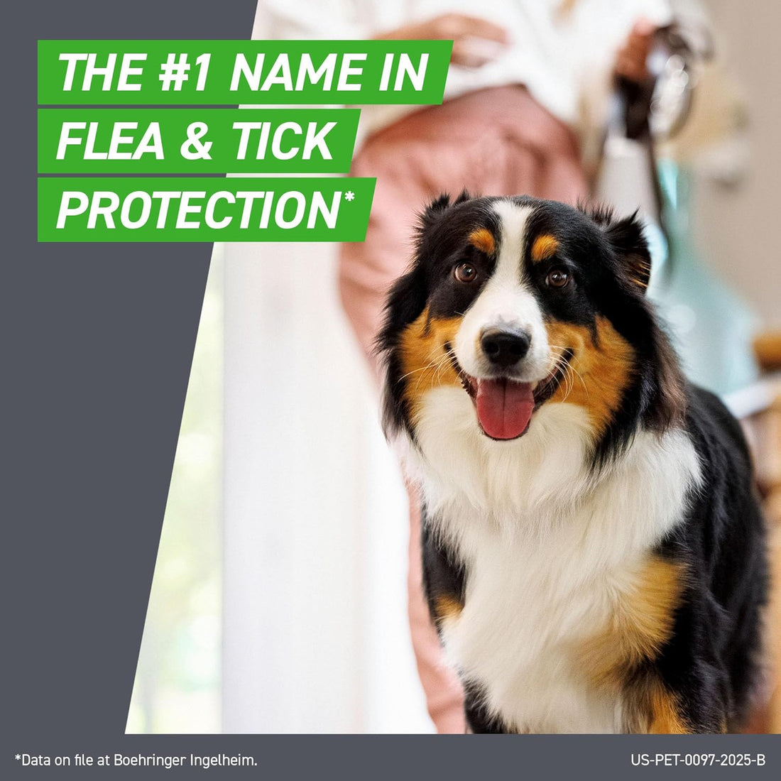 Frontline Plus for Dogs Medium Dog (23-44 pounds) Flea and Tick Treatment, 6 Doses